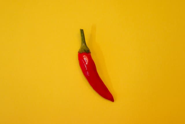 chili pepper